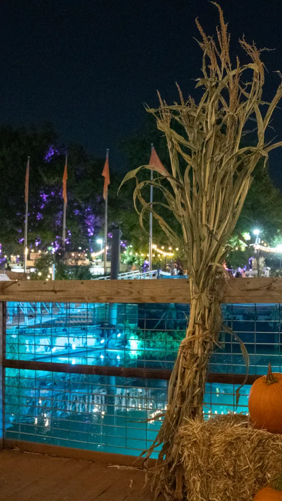 Night Scene of Spruce Street Harbor Park in the Fall